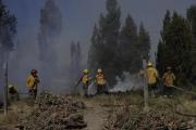 Incendios: Weretilneck alertó por situación crítica y pidió cuidar el agua