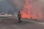 Costa Brutten presenta proyecto para declarar la emergencia ígnea en Bariloche ante el riesgo extremo de incendios