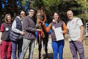 Coco, el caballo que encontró una familia: la primera adopción responsable de equinos de la ciudad