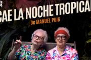 "Cae la noche tropical" llega a Bariloche con Leonor Manso en una noche de teatro mayor