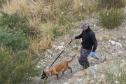 La búsqueda de Analía Corte llega a la ruta de Circunvalación: se realiza un rastrillaje en el sector del Gauchito Gil