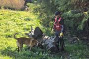 Rastrillajes en La Cascada y el kilómetro 12: el operativo para encontrar a Analía suma fuerzas y amplía los sectores
