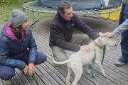Rocky, el perro que no quería ser malo, encontró hogar