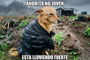 El finde llega pasado por agua...con la esperanza de la nieve
