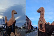 "¿Se podrá al menos respetar su muerte?": el lapidario descargo de una bióloga  por los árboles de la costanera