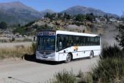 ¿Adiós a Mi Bus en Bariloche? Cortés llama a licitación y abre la cancha al que quiera competir