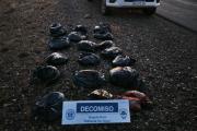 Secuestran más de 100 kilos de carne vacuna que viajaba sin papeles en la Ruta 23
