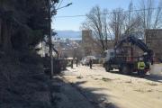 El Municipio sumó la calle Beschtedt al plan de tala de pinos que generó debate