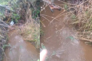 Destaparon un desagüe pluvial en barrio Don Bosco que arrastraba líquidos cloacales hacia el lago