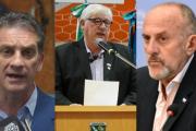 ¿Se vienen las candidaturas testimoniales para las elecciones de noviembre?