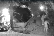 Un nuevo video expone cómo actúa la banda que tiene en vigilia al oeste: entran, desvalijan y se van caminando
