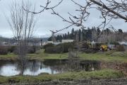 Vecinos reclaman a la Municipalidad la destrucción de un mallín con topadoras