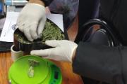 Buscaban pruebas del ataque a cuchillazos y terminaron secuestrando droga