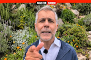 Chamatrópulos: “Es insólito que el oficialismo se controle a sí mismo”