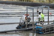 Vecinos denuncian olores fuertes y la CEB explica qué pasa en la Planta Depuradora