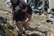 Operativo para rescatar cachorros en el vertedero: "nada va a alcanzar si seguimos abandonando animales”