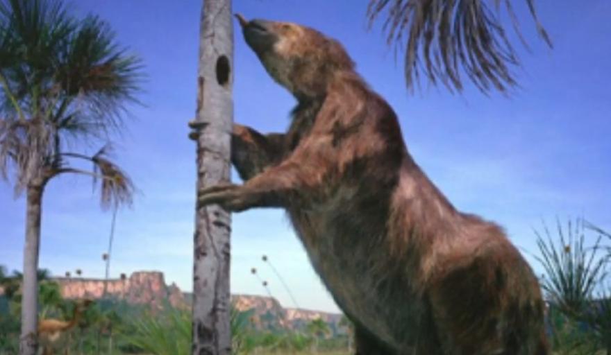 Hallaron restos de un megaterio de 16.000 años en la costa del lago Nahuel Huapi