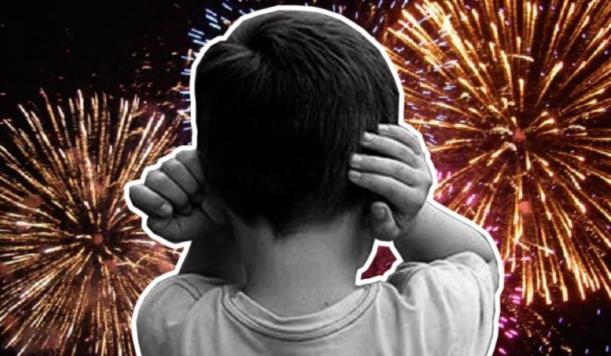 El Concejo aprobó por unanimidad la prohibición total del uso de pirotecnia