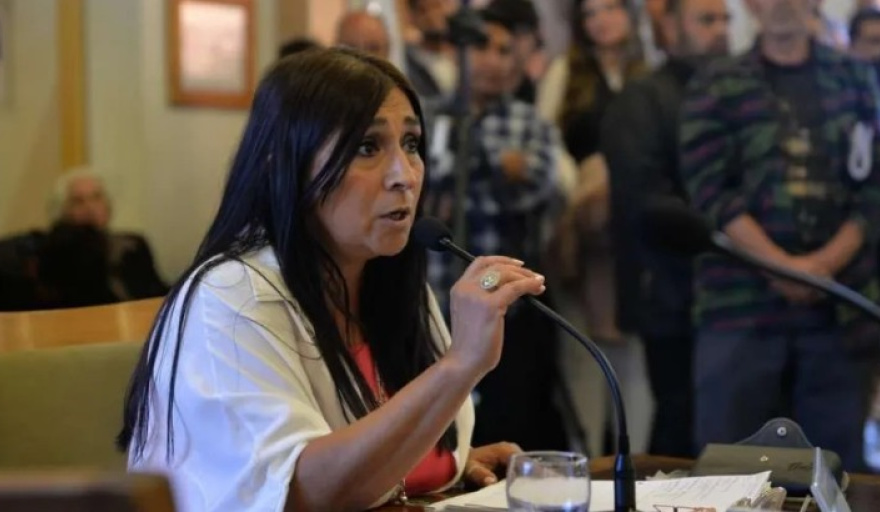 Ferreyra por la sesión en feriado: "si están tan apurados debe haber gato encerrado"