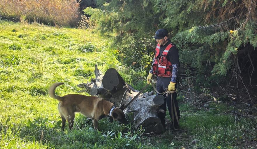 Rastrillajes en La Cascada y el kilómetro 12: el operativo para encontrar a Analía suma fuerzas y amplía los sectores