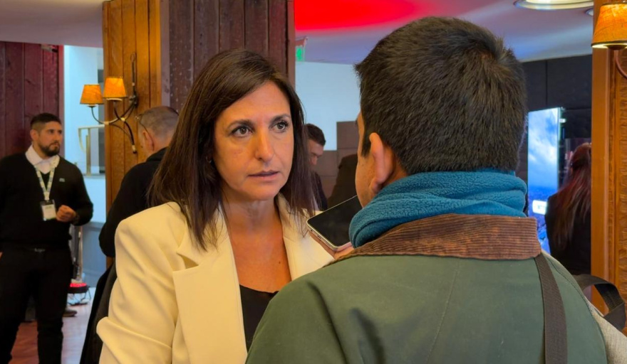 Abdala, sin filtro: 10 frases de la legisladora sobre Weretilneck, Fullone y su salida de JSRN